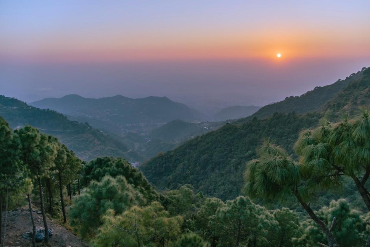 Urban Wave 2Bed Rooms By The North Edge Kasauli Eksteriør bilde