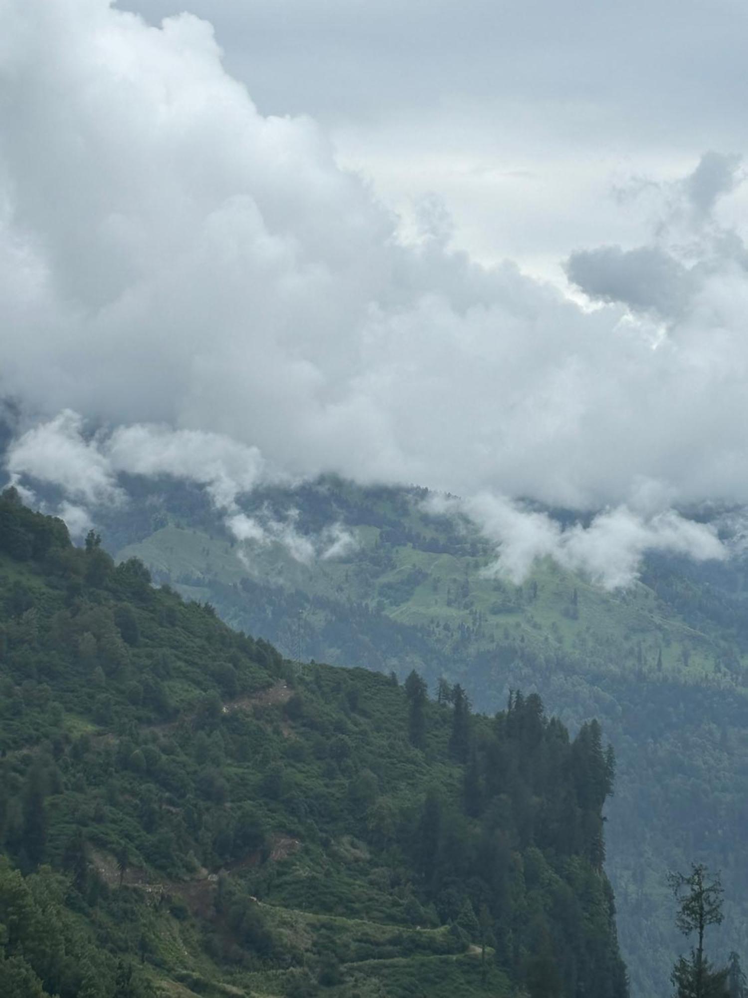 Urban Wave 2Bed Rooms By The North Edge Kasauli Eksteriør bilde